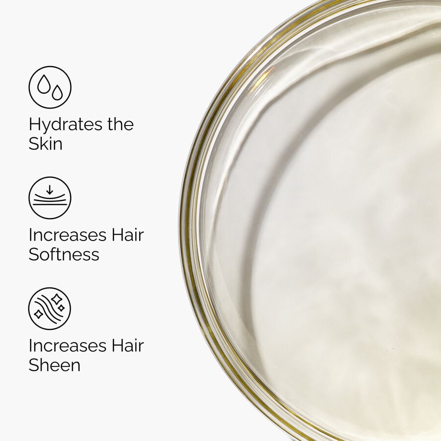 100-organic-cold-pressed-moroccan-argan-oil-f0 FY25-D41247-ORD-Web-PDP-100-Argan-Oil-1x1-EN-3.jpg
