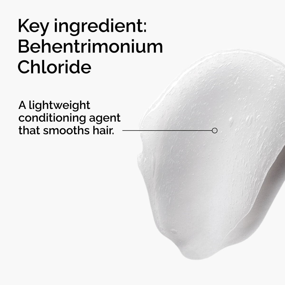behentrimonium-chloride-2-conditioner-x4 FY25-D41247-ORD-Web-PDP-BTC-1x1-EN-2a.jpg
