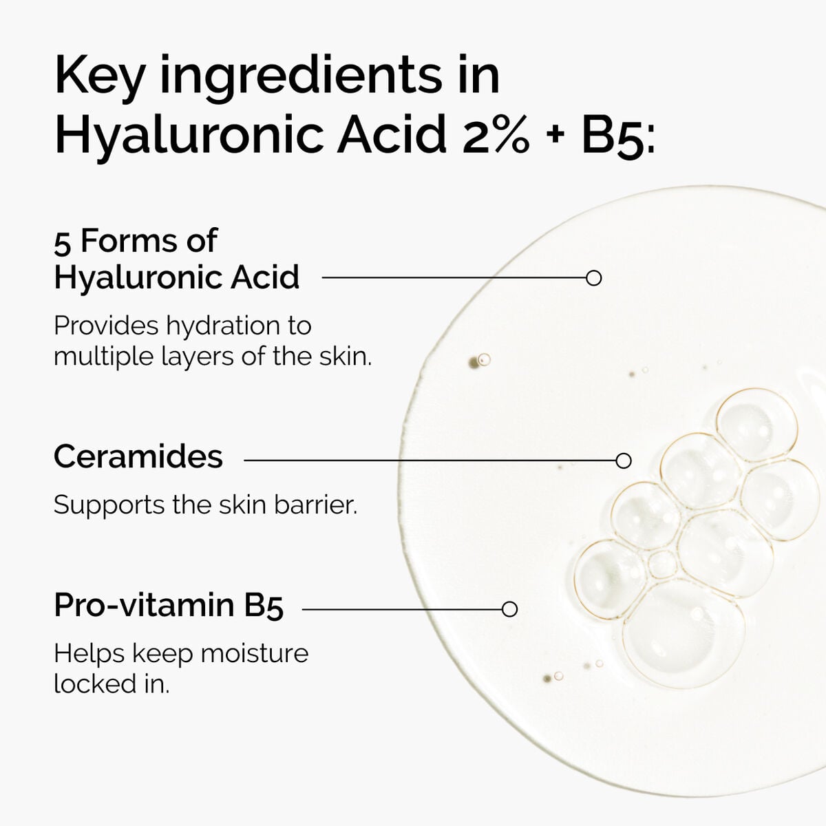 hyaluronic-acid-2-b5-with-ceramides-k9 ord-hyaluronic-acid-2pct-b5-hydrating-serum-ingredients-graphic.jpg
