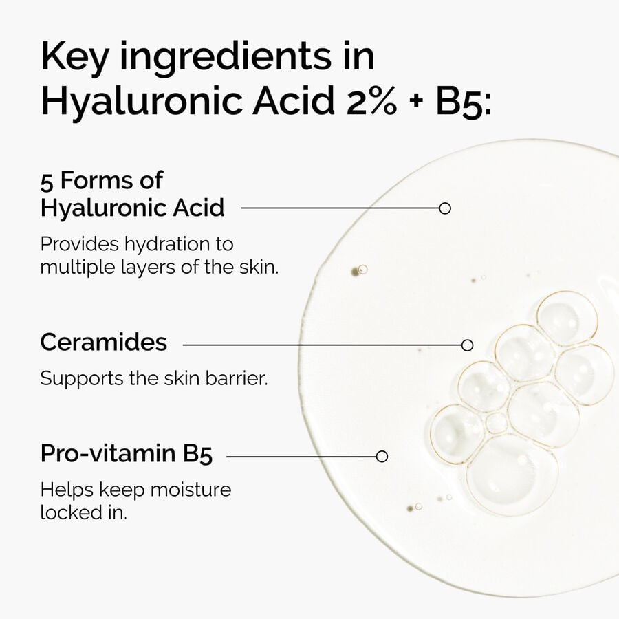 hyaluronic-acid-2-b5-with-ceramides-k9 ord-hyaluronic-acid-2pct-b5-hydrating-serum-ingredients-graphic.jpg